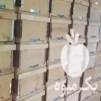 قیمت خرید طبق کندو عسل در گروه خرید و فروش زنبورعسل در یکمیوه