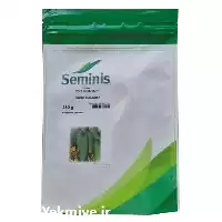 فروش 2 n NADA سیمینس بذر خیار در تهران در گروه خرید و فروش بذر خیار در یکمیوه