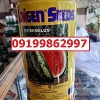 هندوانه یونی ژن سیاه اصل در کرج در گروه خرید و فروش هندوانه در یکمیوه