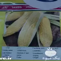 خرید بذر ذرت شیرین سمیرا هیبرید در گروه خرید و فروش بذر ذرت در یکمیوه