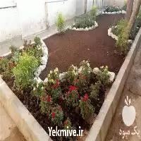 طراحی باغچه و باغ در تهران در گروه سازنده در یکمیوه
