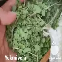 قیمت خرید آویشن شیرازی در تهران در گروه خرید و فروش گیاهان دارویی در یکمیوه