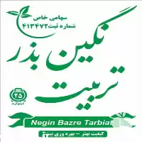 نگین بذر تربیت تولید عرضه کننده در آق قلا در گروه خرید و فروش بذر یونجه در یکمیوه