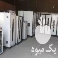 خط تولید فراوری میوه خشک کشمش در گروه خشک کن در یکمیوه