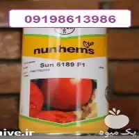 خرید بذر گوجه فرنگی سانسید 6189 در بوشهر در گروه خرید و فروش بذر گوجه در یکمیوه