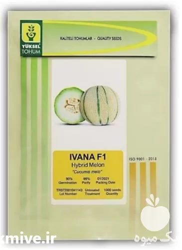 خرید بذر ملون ایوانا قیمت عمده در همدان در گروه خرید و فروش بذر ملون در یکمیوه -عکس1