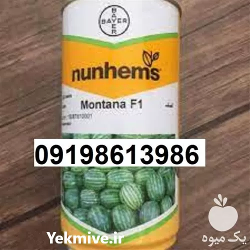 بذر هندوانه مونتانا پر فروش اصل در یزد در گروه خرید و فروش بذر هندوانه در یکمیوه -عکس1