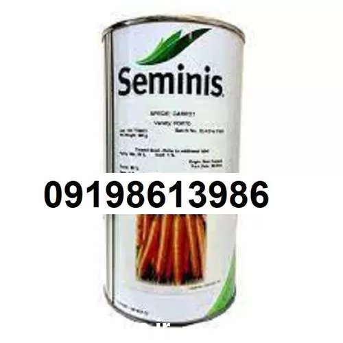 بذر هویج سمینیس اصل ساخت تایلند در کرمان  در گروه خرید و فروش بذر هویج در یکمیوه -عکس1