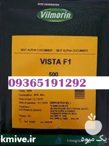 قیمت خرید بذر خیار ویستا در گروه خرید و فروش بذر خیار در یکمیوه -عکس1