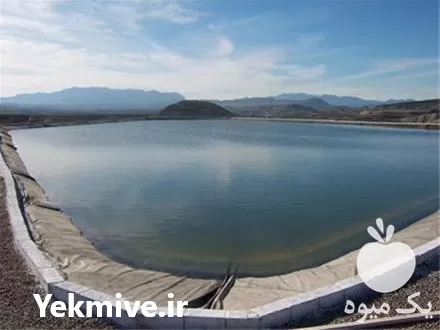 فروش احداث استخرهای کشاورزی در گروه خرید و فروش ژئوممبران در یکمیوه -عکس1