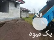 قیمت خرید شن و ماسه در فومن در گروه خرید و فروش کود حیوانی در یکمیوه -عکس1