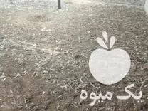 انواع کود مرغی مستقیم از سالن در گروه خرید و فروش کود مرغی در یکمیوه -عکس1