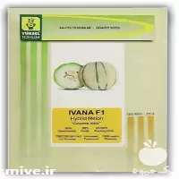 خرید بذر ملون ایوانا قیمت عمده در همدان در گروه خرید و فروش بذر ملون در یکمیوه