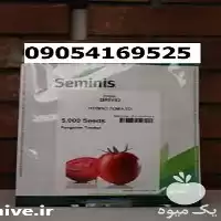 بذر گوجه فرنگی بریویو پرفروش اصل در کرمان  در گروه خرید و فروش گوجه فرنگی در یکمیوه