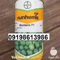 بذر هندوانه مونتانا پر فروش اصل در یزد در گروه خرید و فروش بذر هندوانه در یکمیوه