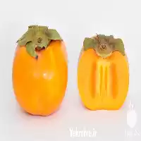 خرید و قیمت نهال خرمالو ژاپنی در آذربایجان غربی در گروه خرید و فروش نهال خرمالو در یکمیوه