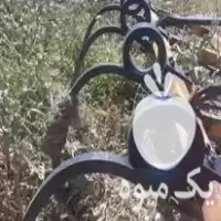 پنجه غازی سالم عقبش عوز کردم در ایلام در گروه خرید و فروش پنجه غازی در یکمیوه