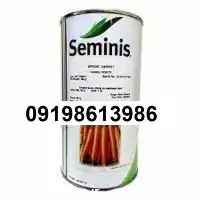 بذر هویج سمینیس اصل ساخت تایلند در کرمان  در گروه خرید و فروش بذر هویج در یکمیوه