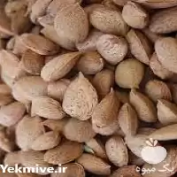 خرید تولید عرضه نهال بادام دیرگل در تهران در گروه خرید و فروش نهال بادام در یکمیوه
