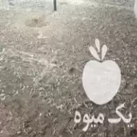 انواع کود مرغی مستقیم از سالن در گروه خرید و فروش کود مرغی در یکمیوه