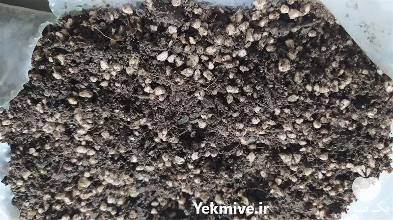 خاک باغچه مرغوب در گروه انواع محصولات خاک و تغذیه در یکمیوه -عکس1