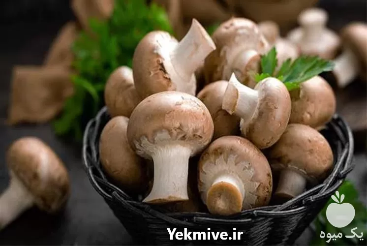 آموزش پرورش قارچ صفر تا صد در گروه دوره آموزش کشاورزی در یکمیوه -عکس1