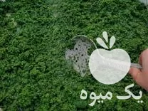 فروش سبزی خرد شده در بیجار در گروه انواع سرخ شده و پخته شده در یکمیوه -عکس1