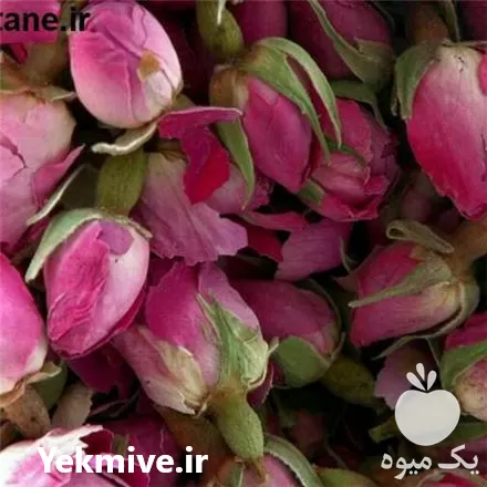 خرید گل محمدی غنچه و گل در شیراز در گروه خرید و فروش گیاهان دارویی در یکمیوه -عکس1