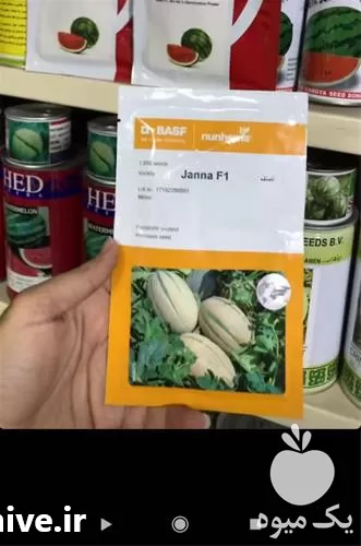 فروش و توزیع بذر خربزه جانا در کرمانشاه در گروه خرید و فروش بذر خربزه در یکمیوه -عکس1
