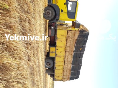 کاه پرس بسته بندی 17 کیلویی در فارس در گروه نهاده ها دام و طیور در یکمیوه -عکس1