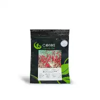 قیمت خرید بذر گوجه زیتونی سانتیاگو در گروه خرید و فروش بذر گوجه در یکمیوه