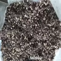 خاک باغچه مرغوب در گروه انواع محصولات خاک و تغذیه در یکمیوه