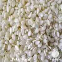 قیمت خرید کنجد در البرز در گروه خرید و فروش دانه های روغنی در یکمیوه