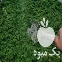 فروش سبزی خرد شده در بیجار در گروه انواع سرخ شده و پخته شده در یکمیوه