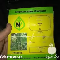 فروش بذر خیار شهاب در تهران در گروه خرید و فروش بذر خیار در یکمیوه