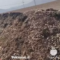 فروش کود مرغی درجه یک در فارس در گروه خرید و فروش کود مرغی در یکمیوه