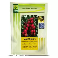 قیمت فروش بذر گوجه زیتونی آماریس در فارس در گروه خرید و فروش بذر گوجه در یکمیوه