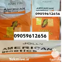 خرید بهترین قیمت بذر ذرت درجه در البرز در گروه خرید و فروش بذر ذرت در یکمیوه