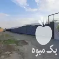 فروش گلخانه با تمامی تجهیزات در گروه اجاره فروش گلخانه در یکمیوه