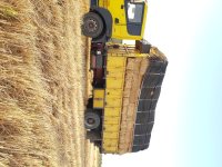 کاه پرس بسته بندی 17 کیلویی در فارس در گروه نهاده ها دام و طیور در یکمیوه