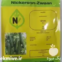خرید توزیع بذر خیار گلخانه ای در خراسان جنوبی در گروه خرید و فروش بذر خیار در یکمیوه
