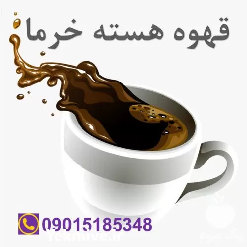 خرید قهوه هسته خرما در گروه خرید و فروش خرما در یکمیوه -عکس1