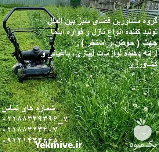 عرضه دستگاه چمن زن با کیفیتی در تهران در گروه علف تراش و علف زن در یکمیوه -عکس1