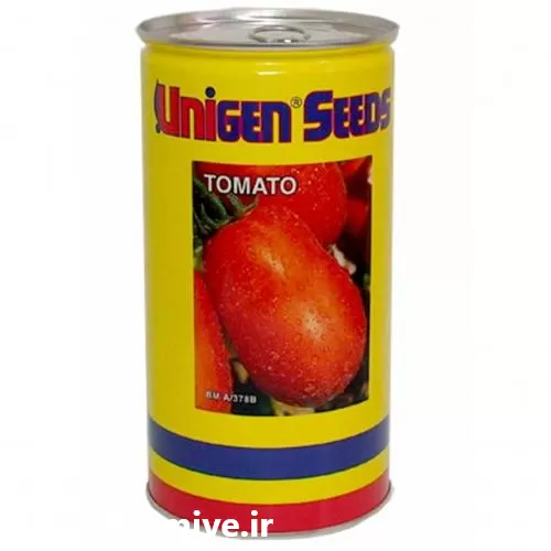 قیمت خرید بذر پیاز یونی ژن در گروه خرید و فروش بذر پیاز در یکمیوه -عکس1