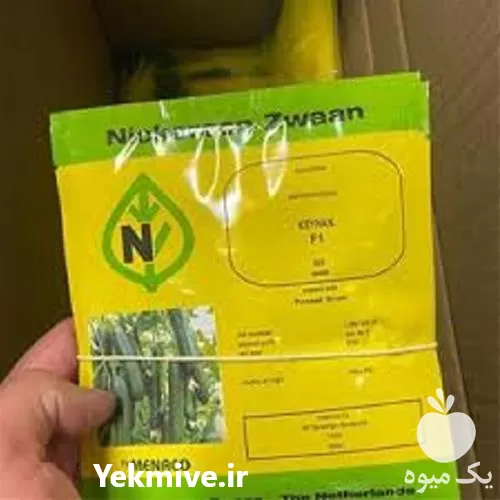 قیمت خرید بذر خیار در گروه خرید و فروش بذر خیار در یکمیوه -عکس1