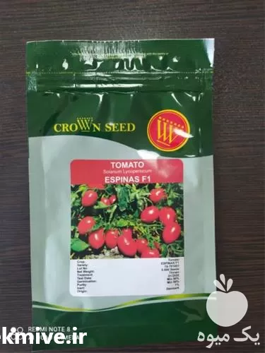 فروش بذر گوجه اسپیناس در خراسان شمالی در گروه خرید و فروش بذر گوجه در یکمیوه -عکس1