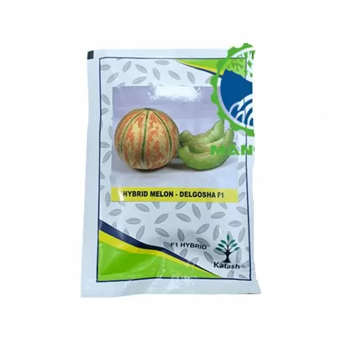 قیمت خرید بذر خربزه دلگشا در کرمان  در گروه خرید و فروش بذر خربزه در یکمیوه -عکس1