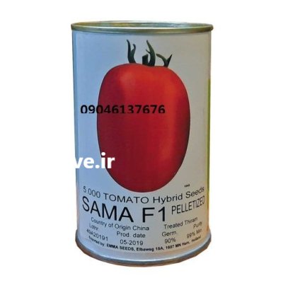 بذر گوجه فرنگی سما در گروه خرید و فروش بذر گوجه در یکمیوه -عکس1