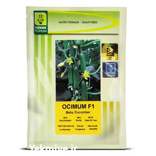 فروش بذر خیار گلخانه ای اوسیوم در گروه خرید و فروش بذر خیار در یکمیوه -عکس1