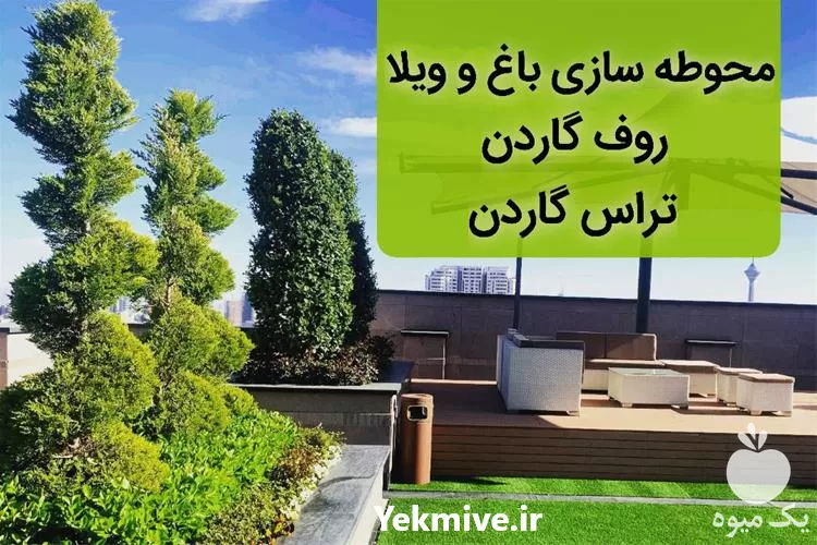 طراحی فضای سبز اجرای تراس گاردن در تهران در گروه سازنده در یکمیوه -عکس1